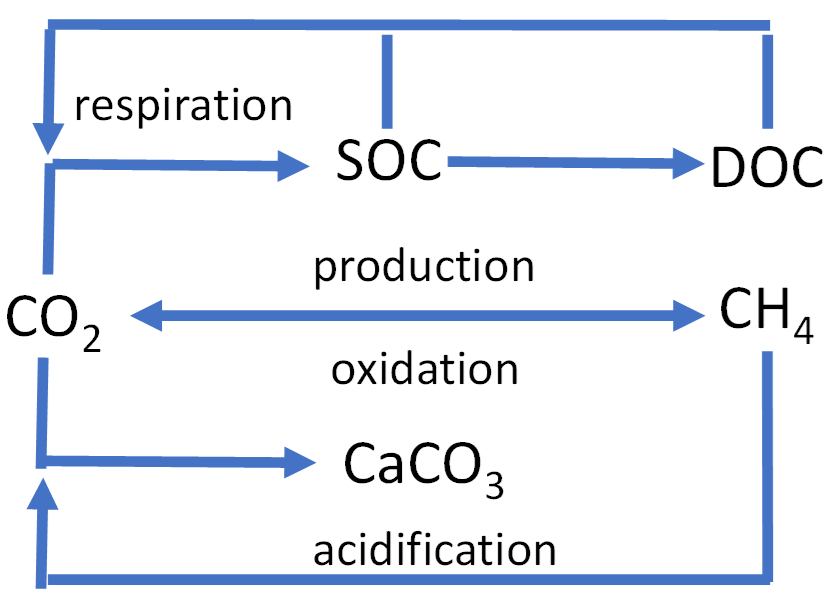 Biogeochemical cycling and trapping of deep-sediment sourced CO2